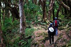 kodaikanal, trekking and hiking in kodaikanal